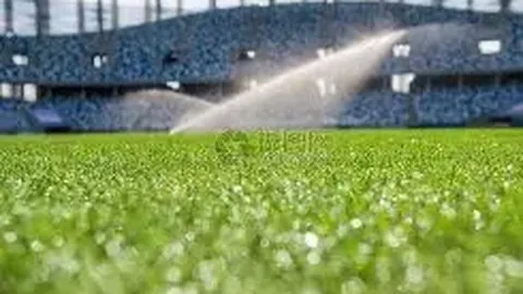 香港2025年网站SEO流量排行榜解密：谷歌四大流量核心助力企业营销