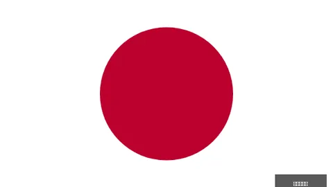 2026篮球盛宴回顾：女篮世界杯与总决赛日程大曝光！